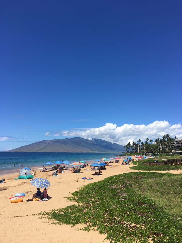 people-on-the-beach-maui-hawaii